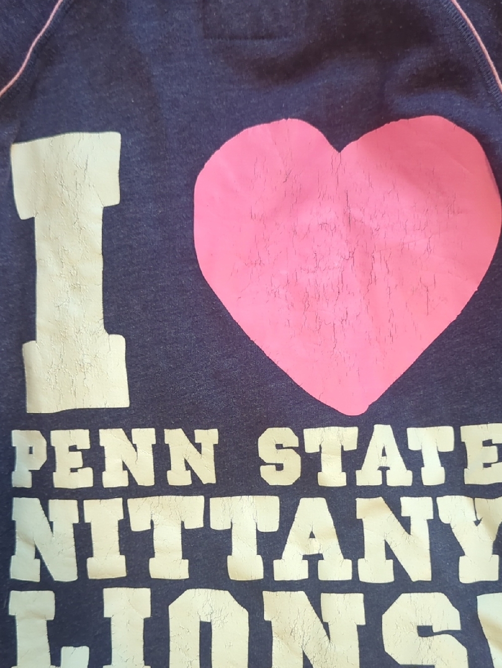 PINK Victoria's Secret Blue Penn State  Jogger Set - Picture 8 of 8